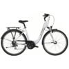 Carver Tour 100 - 28 Zoll - Tiefeinsteiger