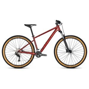 Focus Whistler 3.7 - 29 Zoll - Diamant