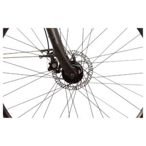 Lakes Free 100 - 28 Zoll - Diamant - 2026
