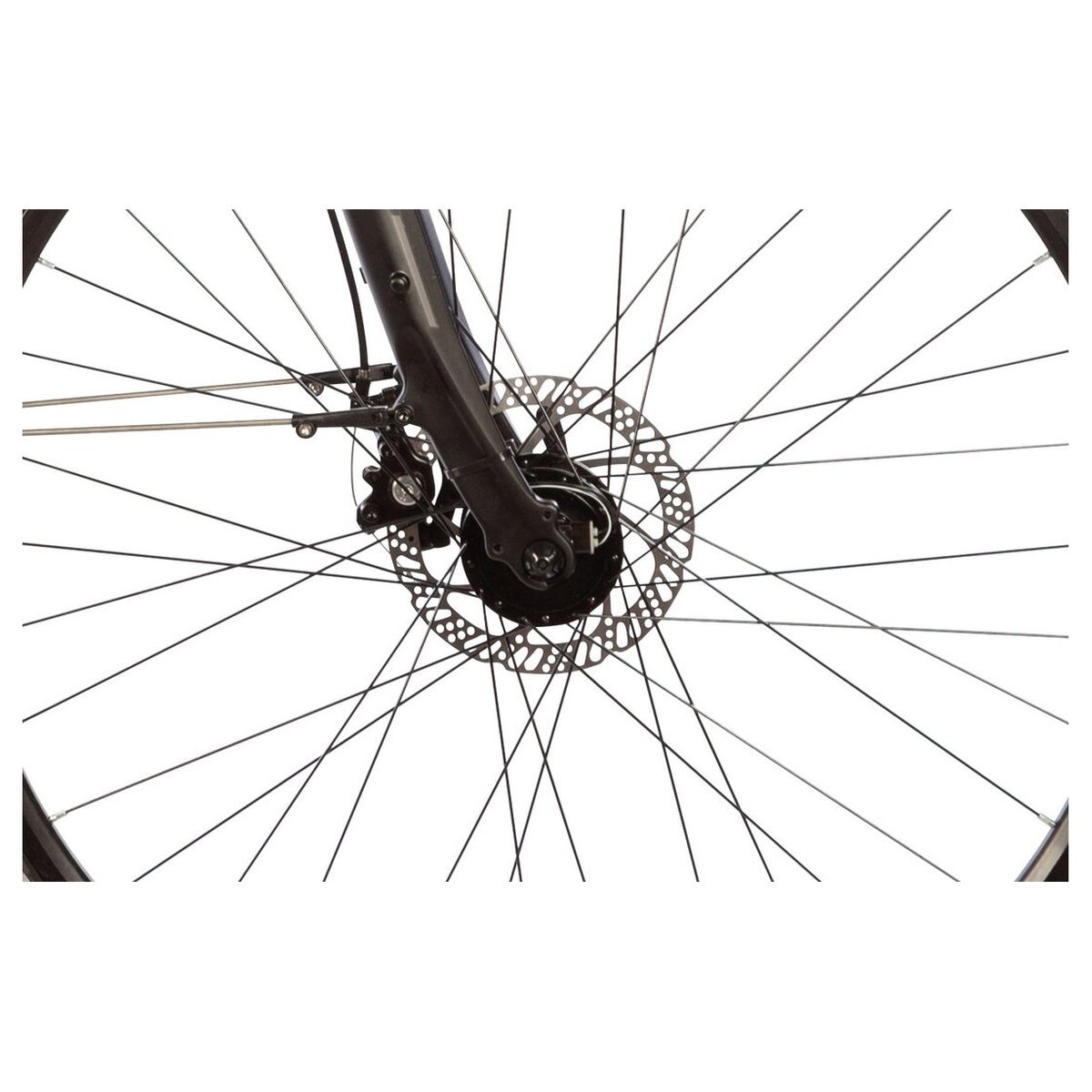 Lakes Free 100 – 28 Zoll – Diamant – 2026 Lakes Free 100 - 28 Zoll - Diamant - 2026