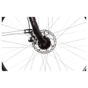 Lakes FREE 100 - 28 Zoll - Trapez - 2026