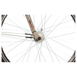 Lakes Arco 100 - 28 Zoll - Tiefeinsteiger - 2026