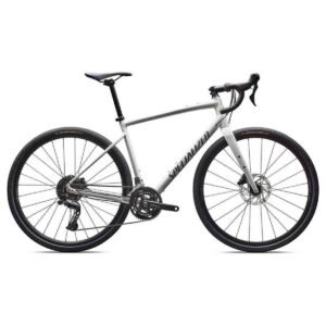 Specialized Diverge E5 - 28 Zoll - Diamant - 2026