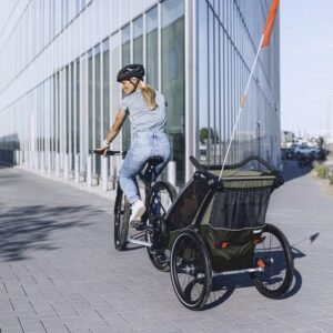 Thule Chariot Lite double