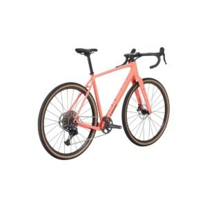 Trek Checkpoint ALR 4 - 28 Zoll - Diamant - 2027