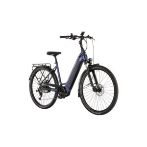 Kettler Traveller E-Gold 10 Plus - 625 Wh - 28 Zoll - Tiefeinsteiger