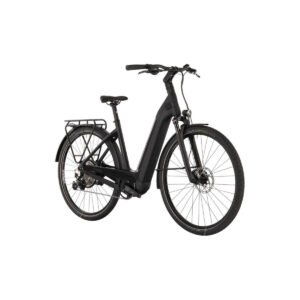 Kettler Quadrano Lite 11 Carbon - 640 Wh - 28 Zoll - Tiefeinsteiger