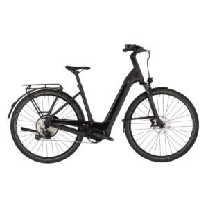 Kettler Quadrano Lite 11 Carbon - 640 Wh - 28 Zoll - Tiefeinsteiger