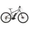 Carver Strict E02 - 500 Wh - 29 Zoll - Diamant