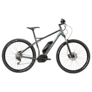 Carver Strict E02 - 500 Wh - 29 Zoll - Diamant