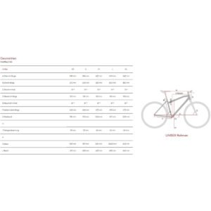 Raymon HardRay E 4.0 - 500 Wh - 29 Zoll - Diamant