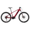 Raymon HardRay E 4.0 - 500 Wh - 29 Zoll - Diamant