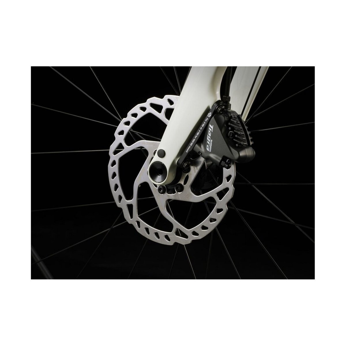 Trek Domane AL 4 Gen 4 – 28 Zoll – Diamant – 2026 Trek Domane AL 4 Gen 4 - 28 Zoll - Diamant - 2026