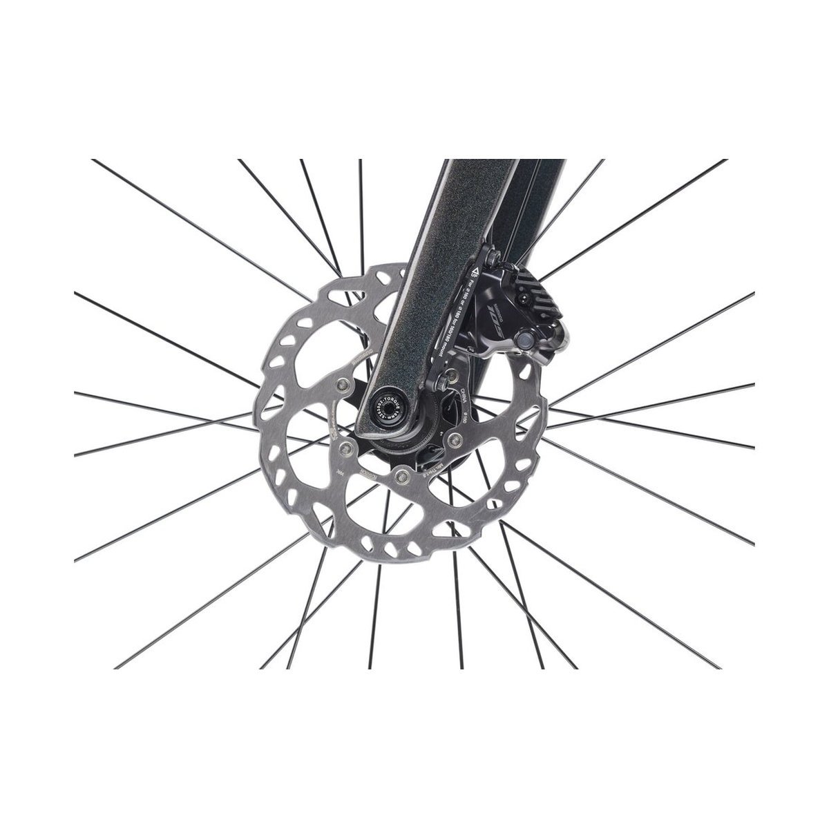 Trek Émonda ALR 5 – 28 Zoll – Diamant – 2026 Trek Émonda ALR 5 - 28 Zoll - Diamant - 2026