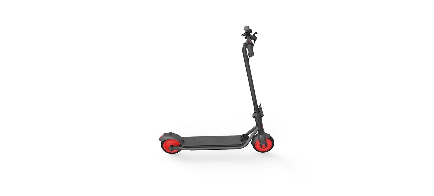 Segway-Ninebot Zing C20 E Scooter for Children and Teenagers, Max. 16 km/h Speed, 20 km Range, Fun Segway-Ninebot Zing C20 E Scooter for Children and Teenagers, Max. 16 km/h Speed, 20 km Range, Fun