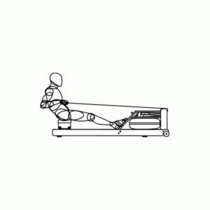 WaterRower Rudergerät M1 LoRise